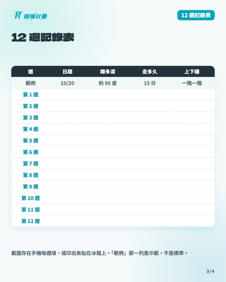 12 週記錄表:每週填一次