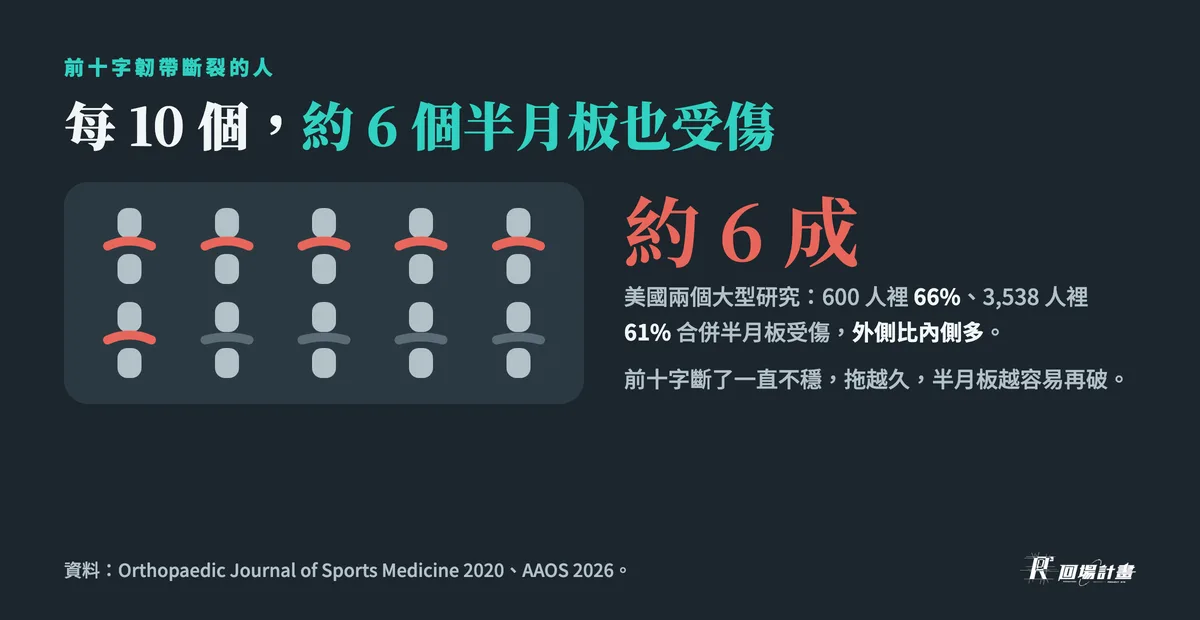 前十字韌帶斷裂的人,每 10 個約 6 個半月板也受傷:600 人裡 66%、3,538 人裡 61%,外側比內側多