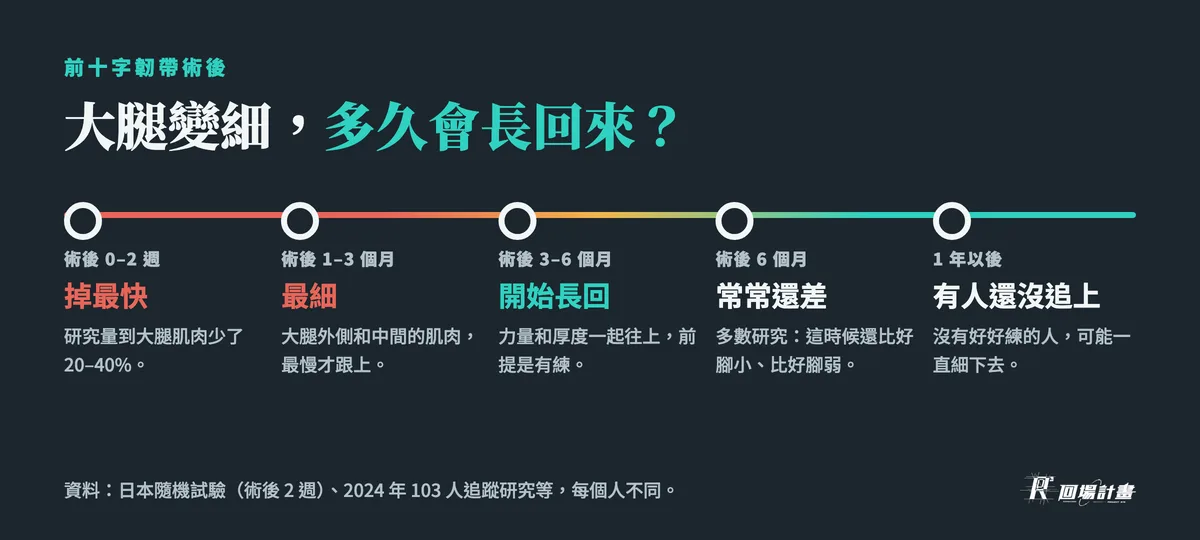 前十字韌帶術後大腿變細的時間線:0–2 週掉最快、1–3 個月最細、3–6 個月開始長回、6 個月常常還差、1 年以後有人還沒追上