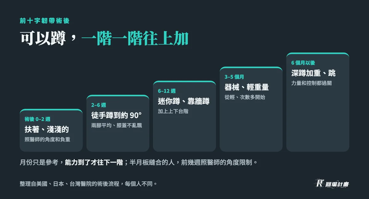 前十字韌帶術後可以蹲,一階一階往上加:0–2 週扶著淺蹲、2–6 週徒手蹲到約 90 度、6–12 週迷你蹲靠牆蹲、3–5 個月器械輕重量、6 個月以後深蹲加重和跳